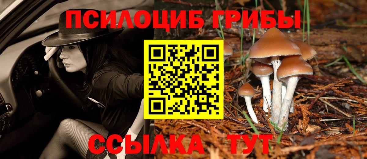 Псилоцибиновые грибы Magic Shrooms Сызрань