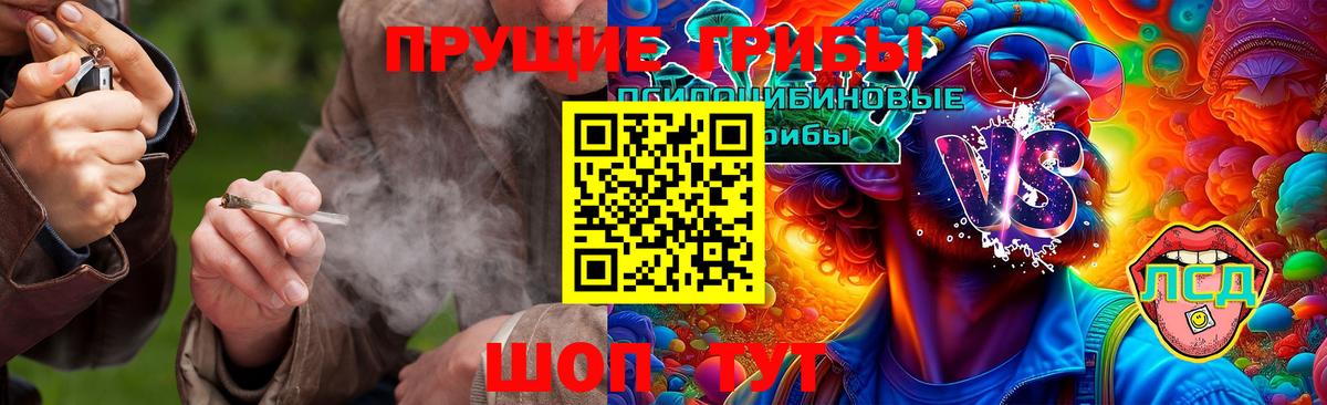 что такое наркотик  Вход с VPN  Сызрань  Псилоцибиновые грибы Psilocybine cubensis  Псилоцибиновые грибы прущие грибы 